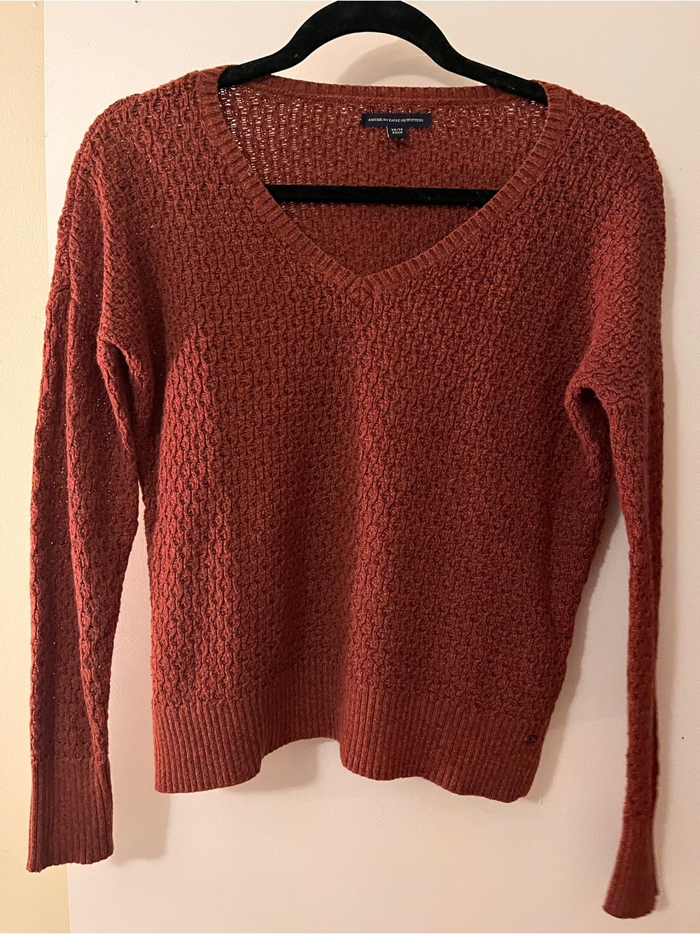 American Eagle V-Neck Sweater in Rust